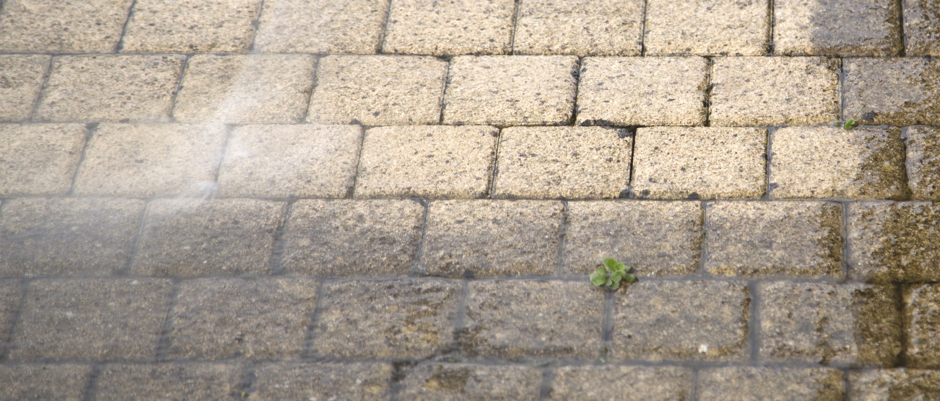 flagging and patios SW11